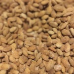 Helueni - comidas arabe